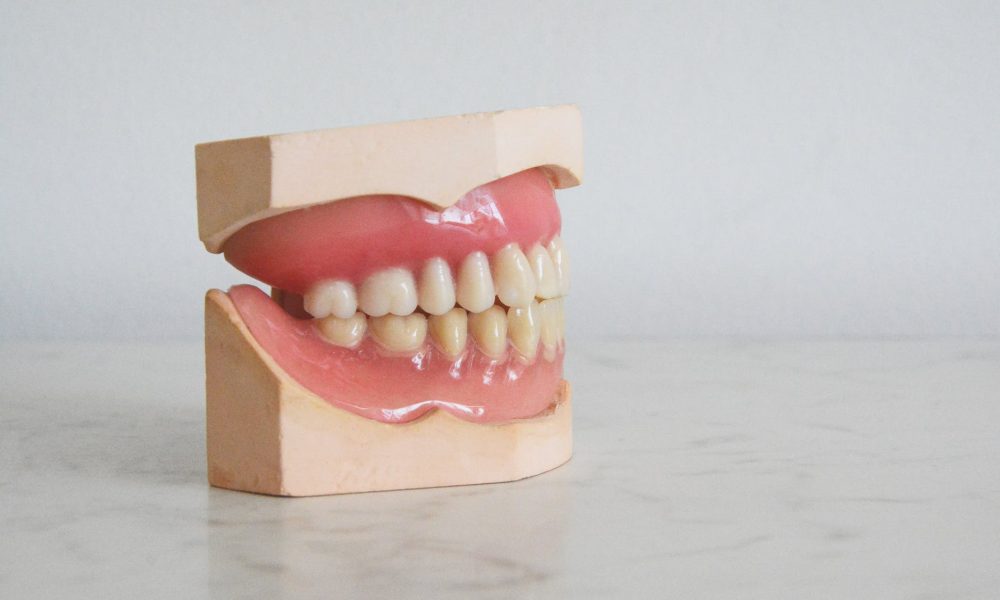 close up photo of dentures